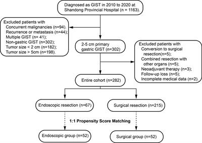 Surgical Resection Is Still Better Than Endoscopic Resection for Patients With 2-5 cm Gastric Gastrointestinal Stromal Tumours: A Propensity Score Matching Analysis